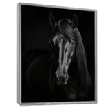 Portrait Of A Gracious Black Horse - Black Horse Wall Art
