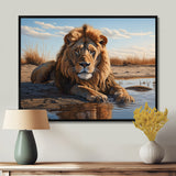 Lion Resting By The Water Pool - Lion Wall Art Prints
