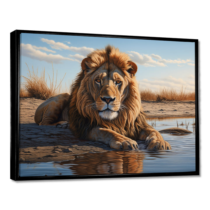 Lion Resting By The Water Pool - Lion Wall Art Prints
