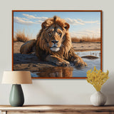 Lion Resting By The Water Pool - Lion Wall Art Prints