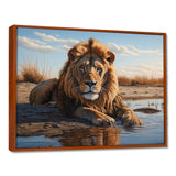 Lion Resting By The Water Pool - Lion Wall Art Prints