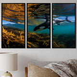 Orca Swimming In Blue Lagoon - 3-Piece Canvas Wall Art