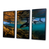 Orca Swimming In Blue Lagoon - 3-Piece Canvas Wall Art