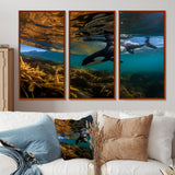 Orca Swimming In Blue Lagoon - 3-Piece Canvas Wall Art
