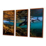 Orca Swimming In Blue Lagoon - 3-Piece Canvas Wall Art