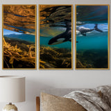 Orca Swimming In Blue Lagoon - 3-Piece Canvas Wall Art