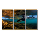 Orca Swimming In Blue Lagoon - 3-Piece Canvas Wall Art