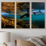 Orca Swimming In Blue Lagoon - 3-Piece Canvas Wall Art