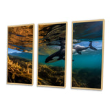 Orca Swimming In Blue Lagoon - 3-Piece Canvas Wall Art