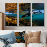 Orca Swimming In Blue Lagoon - 3-Piece Canvas Wall Art