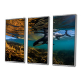 Orca Swimming In Blue Lagoon - 3-Piece Canvas Wall Art