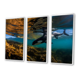 Orca Swimming In Blue Lagoon - 3-Piece Canvas Wall Art