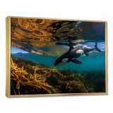 Orca Swimming In Blue Lagoon - Black Coastal Animal Wall Art
