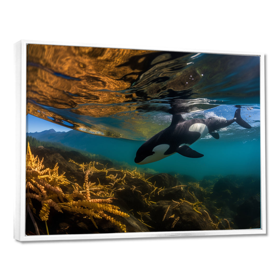 Orca Swimming In Blue Lagoon - Black Coastal Animal Wall Art