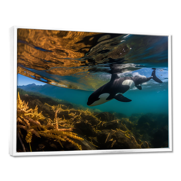 Orca Swimming In Blue Lagoon - Black Coastal Animal Wall Art