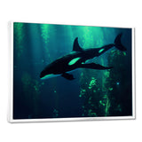 Deep Ocean Orka God Rays - Black Coastal Animal Wall Art