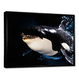 Smiling Deep Sea Orka - Coastal Animal Large Canvas Wall Art