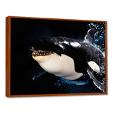Smiling Deep Sea Orka - Coastal Animal Large Canvas Wall Art