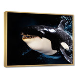 Smiling Deep Sea Orka - Coastal Animal Large Canvas Wall Art