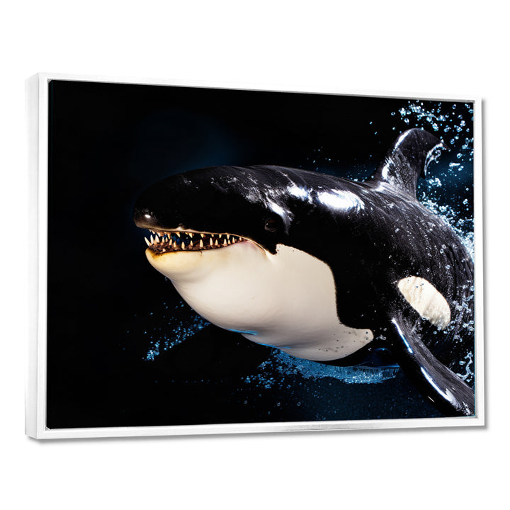 Smiling Deep Sea Orka - Coastal Animal Large Canvas Wall Art