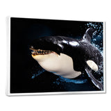 Smiling Deep Sea Orka - Coastal Animal Large Canvas Wall Art