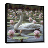 White Swan In Pond Blossoming Pink Lotus - Swans Canvas Wall Art