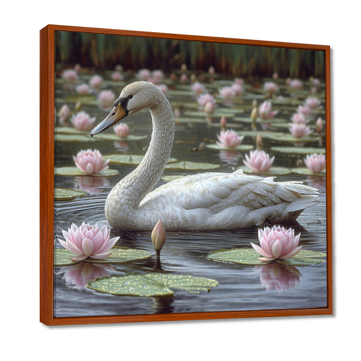 White Swan In Pond Blossoming Pink Lotus - Swans Canvas Wall Art