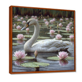 White Swan In Pond Blossoming Pink Lotus - Swans Canvas Wall Art