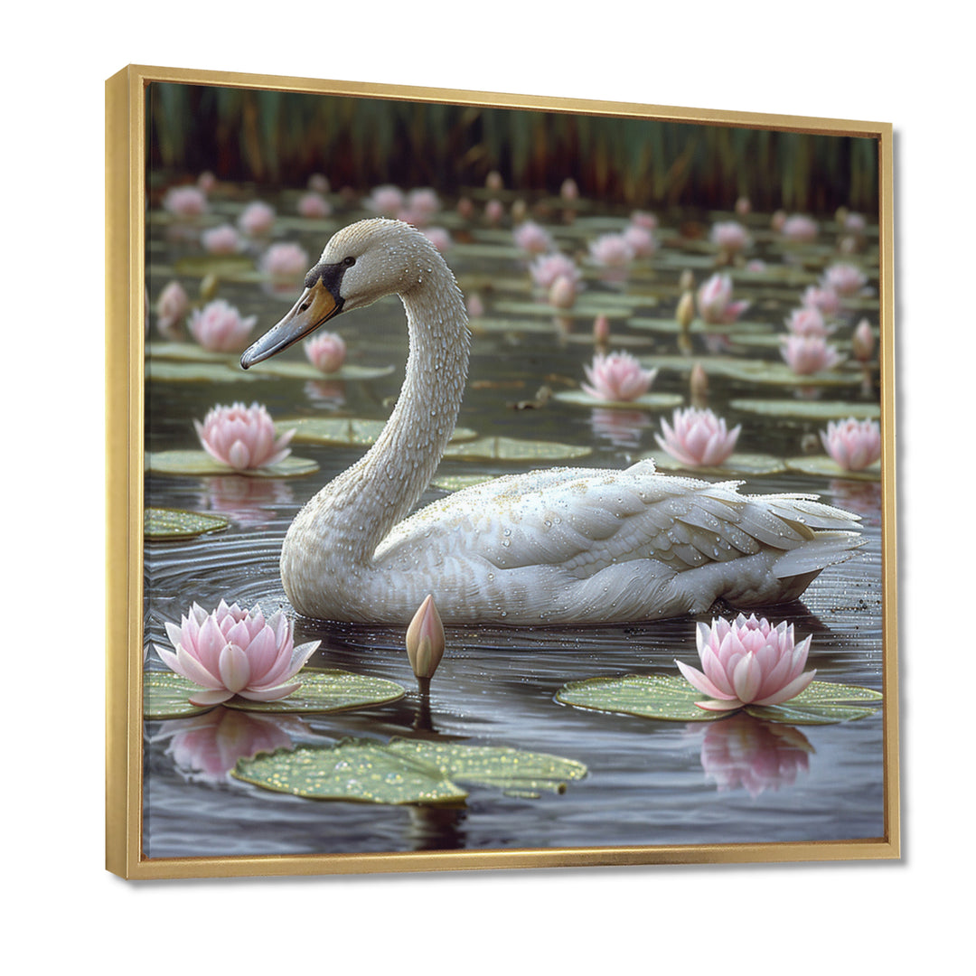 White Swan In Pond Blossoming Pink Lotus - Swans Canvas Wall Art