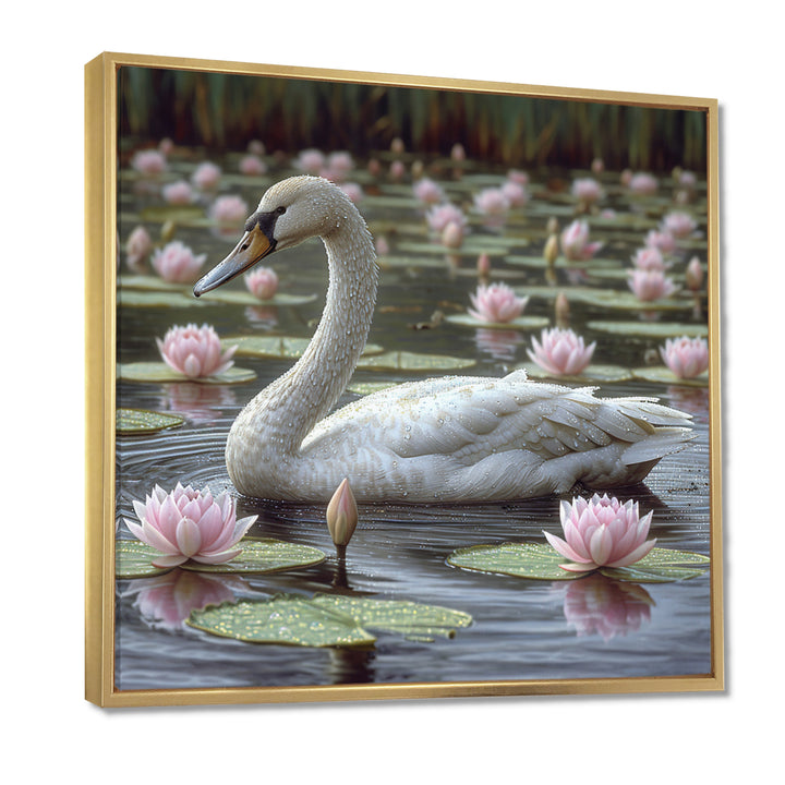 White Swan In Pond Blossoming Pink Lotus - Swans Canvas Wall Art