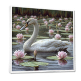 White Swan In Pond Blossoming Pink Lotus - Swans Canvas Wall Art