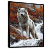 Wild Grey Wolf By Mountain River - Wolf Framed Canvas Art