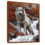 Wild Grey Wolf By Mountain River - Wolf Framed Canvas Art