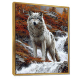 Wild Grey Wolf By Mountain River - Wolf Framed Canvas Art