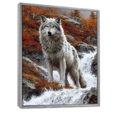 Wild Grey Wolf By Mountain River - Wolf Framed Canvas Art