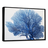 Detailed Blue Coral On White Retro Illustration - Coral Wall Decor