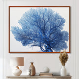 Detailed Blue Coral On White Retro Illustration - Coral Wall Decor