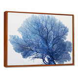 Detailed Blue Coral On White Retro Illustration - Coral Wall Decor