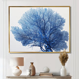 Detailed Blue Coral On White Retro Illustration - Coral Wall Decor