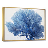 Detailed Blue Coral On White Retro Illustration - Coral Wall Decor
