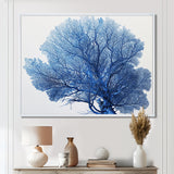 Detailed Blue Coral On White Retro Illustration - Coral Wall Decor