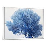 Detailed Blue Coral On White Retro Illustration - Coral Wall Decor
