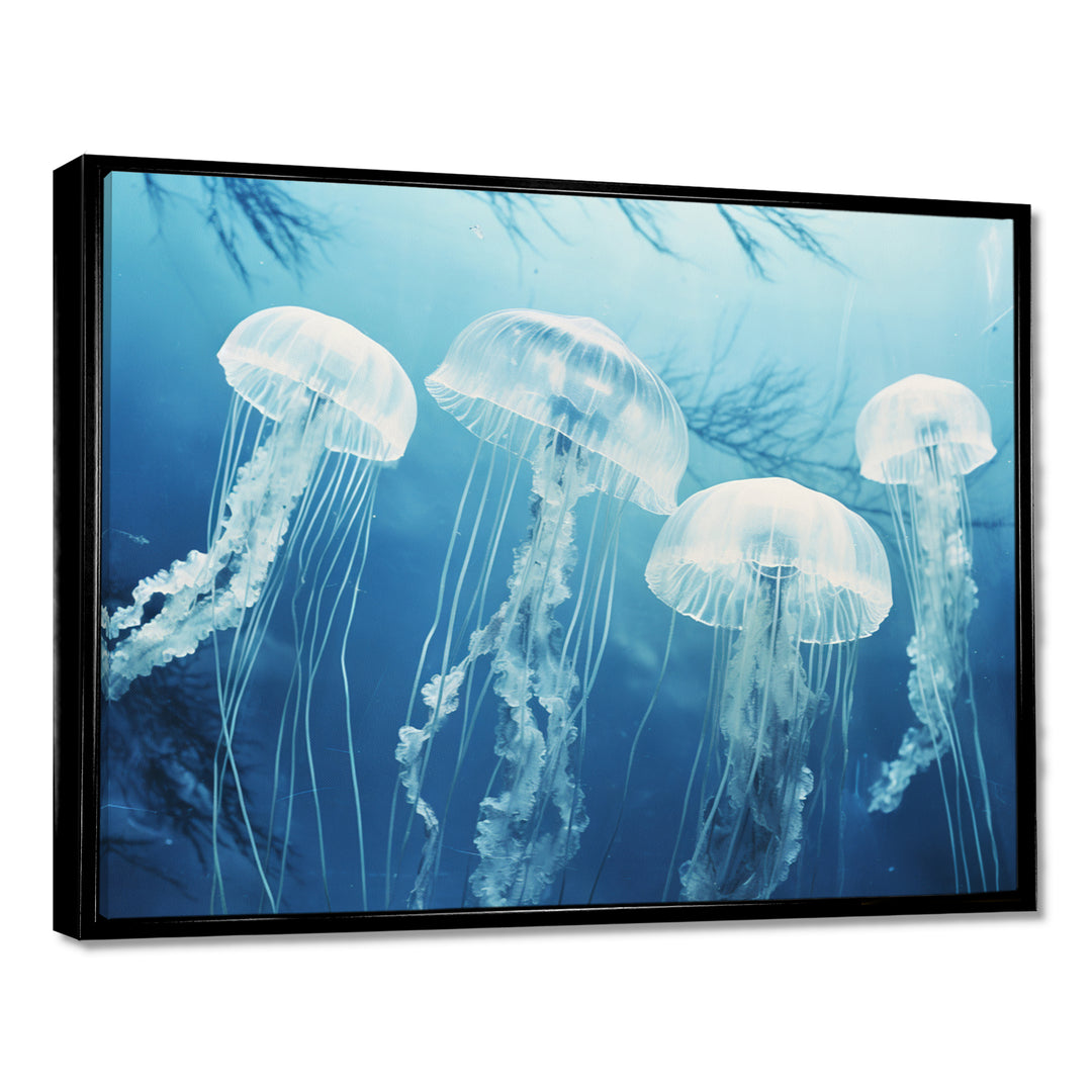 Four White Jellyfish Floating To The Ocean Surface Sunlight - Blue Jellyfish Wall Art