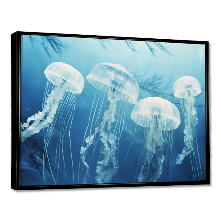 Four White Jellyfish Floating To The Ocean Surface Sunlight - Blue Jellyfish Wall Art
