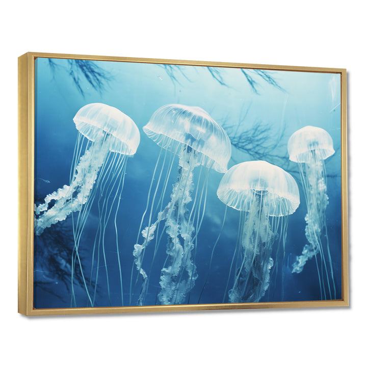 Four White Jellyfish Floating To The Ocean Surface Sunlight - Blue Jellyfish Wall Art
