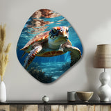 Turtle Aquatic Wandererin Ocean - Asymmetric Metal Wall Art