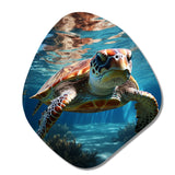 Turtle Aquatic Wandererin Ocean - Asymmetric Metal Wall Art