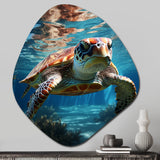 Turtle Aquatic Wandererin Ocean - Asymmetric Metal Wall Art