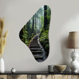 USA Muir Woods National Monument I - Asymmetric Metal Wall Art