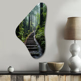 USA Muir Woods National Monument I - Asymmetric Metal Wall Art